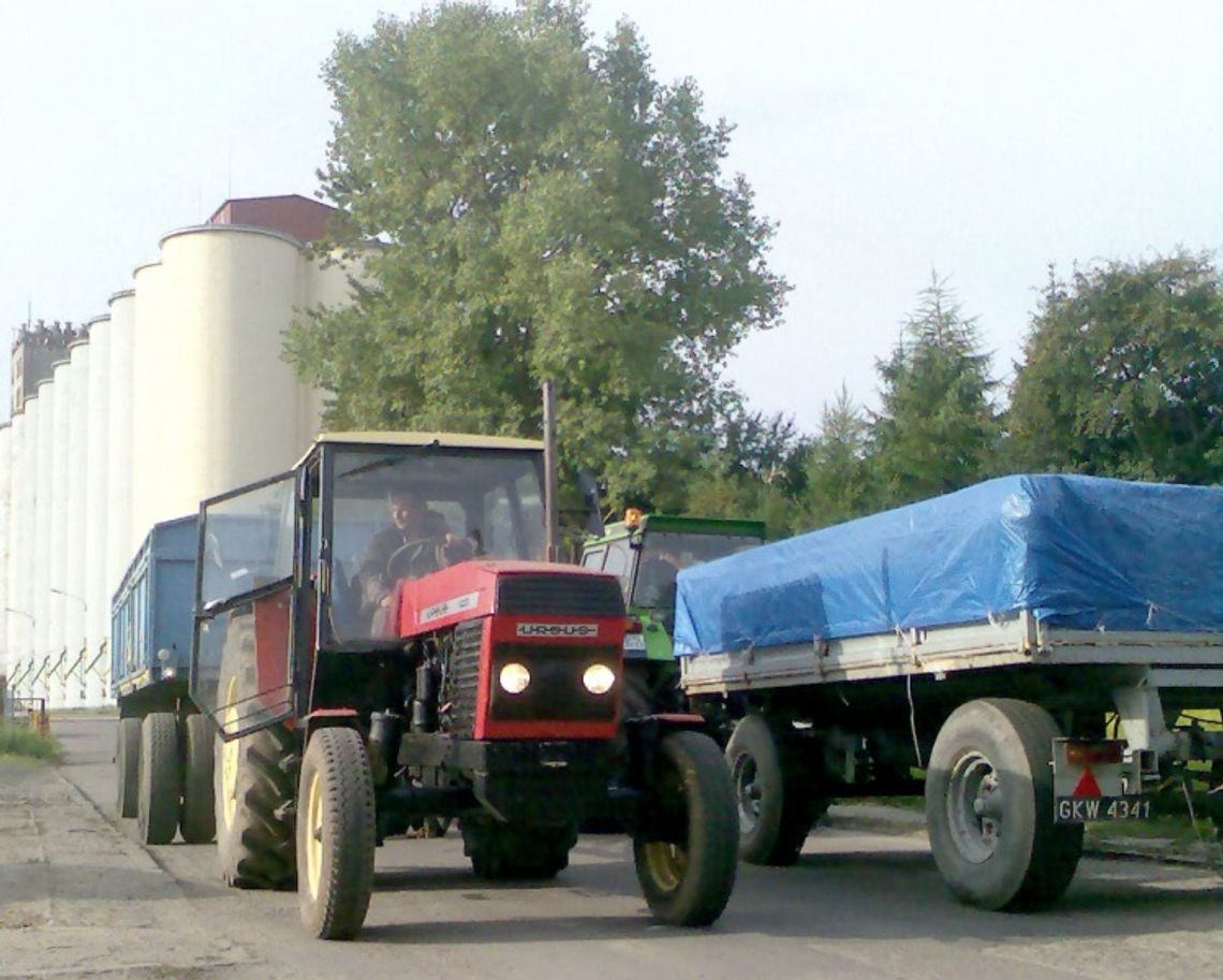 Bez kolejki przed elewatorem w Jabłowie, ceny mogą spadać Bez kolejki przed elewatorem w Jabłowie, ceny mogą spadać