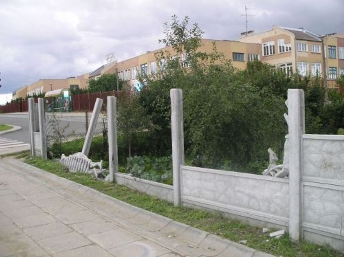 Bez zahamowań Bez zahamowań