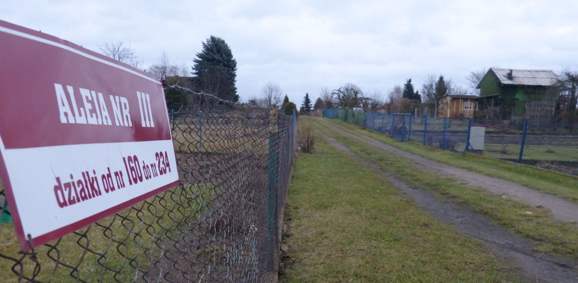 Bezdomni kontra prezes: "Chcemy mieszkać na działkach!" Bezdomni kontra prezes: "Chcemy mieszkać na działkach!"