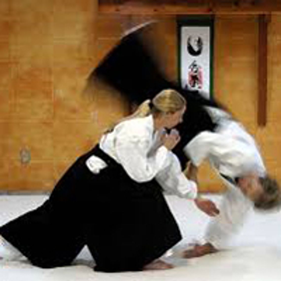 Bezpłatne treningi aikido Bezpłatne treningi aikido