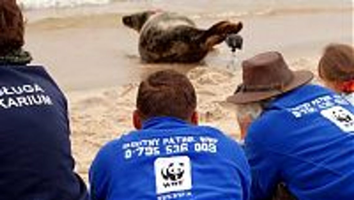 Błękitny patrol brzegiem Bałtyku Błękitny patrol brzegiem Bałtyku