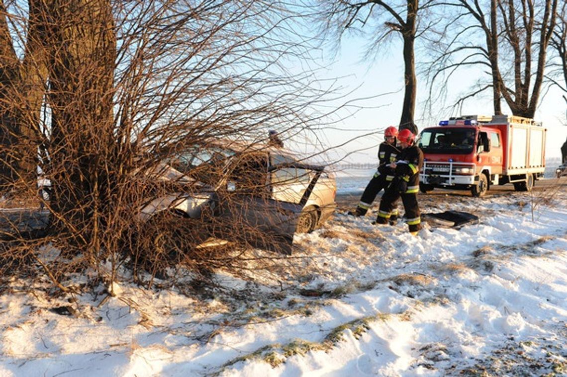 BMW poślizgiem w drzewo, pięć osób rannych BMW poślizgiem w drzewo, pięć osób rannych