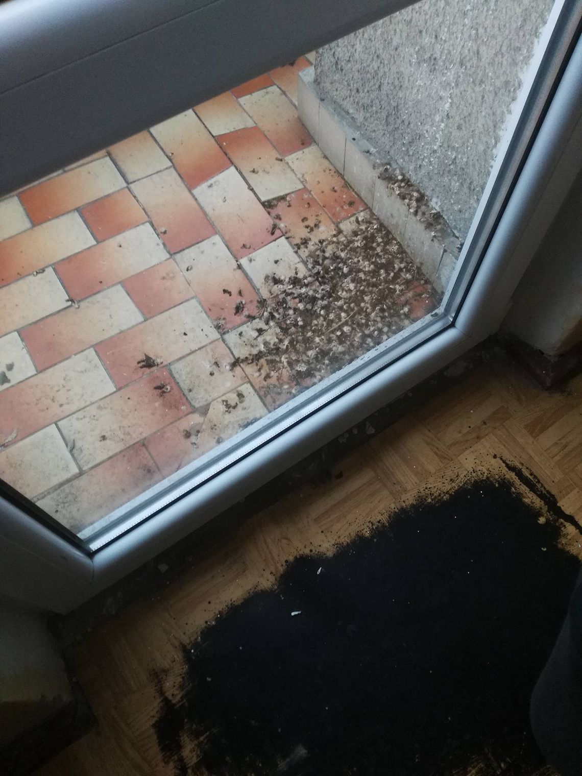 Brud i... wstyd w szpitalu. Czytelniczka zrobiła zdjęcia