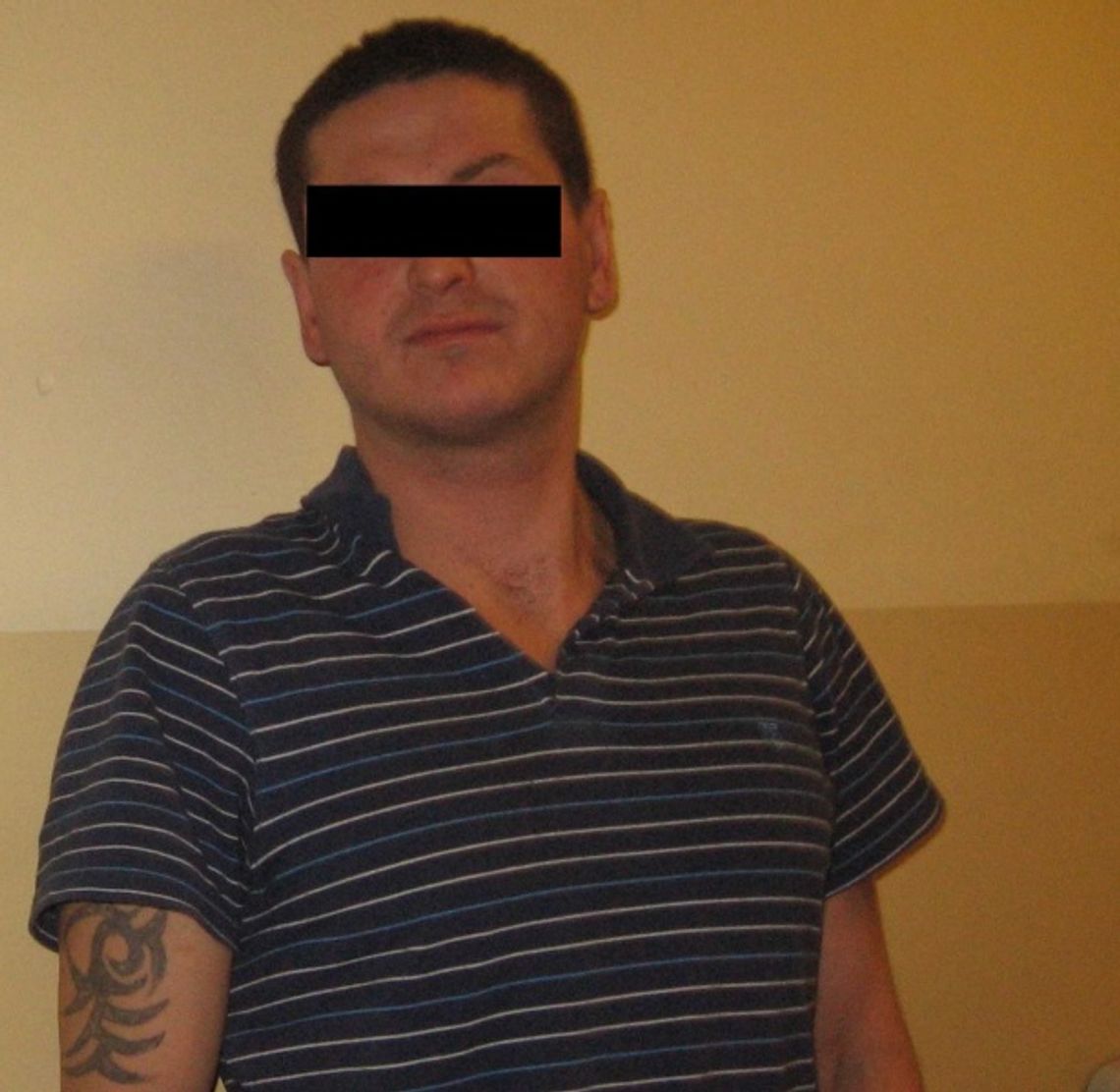 Brzeszczot w skarpecie Brzeszczot w skarpecie