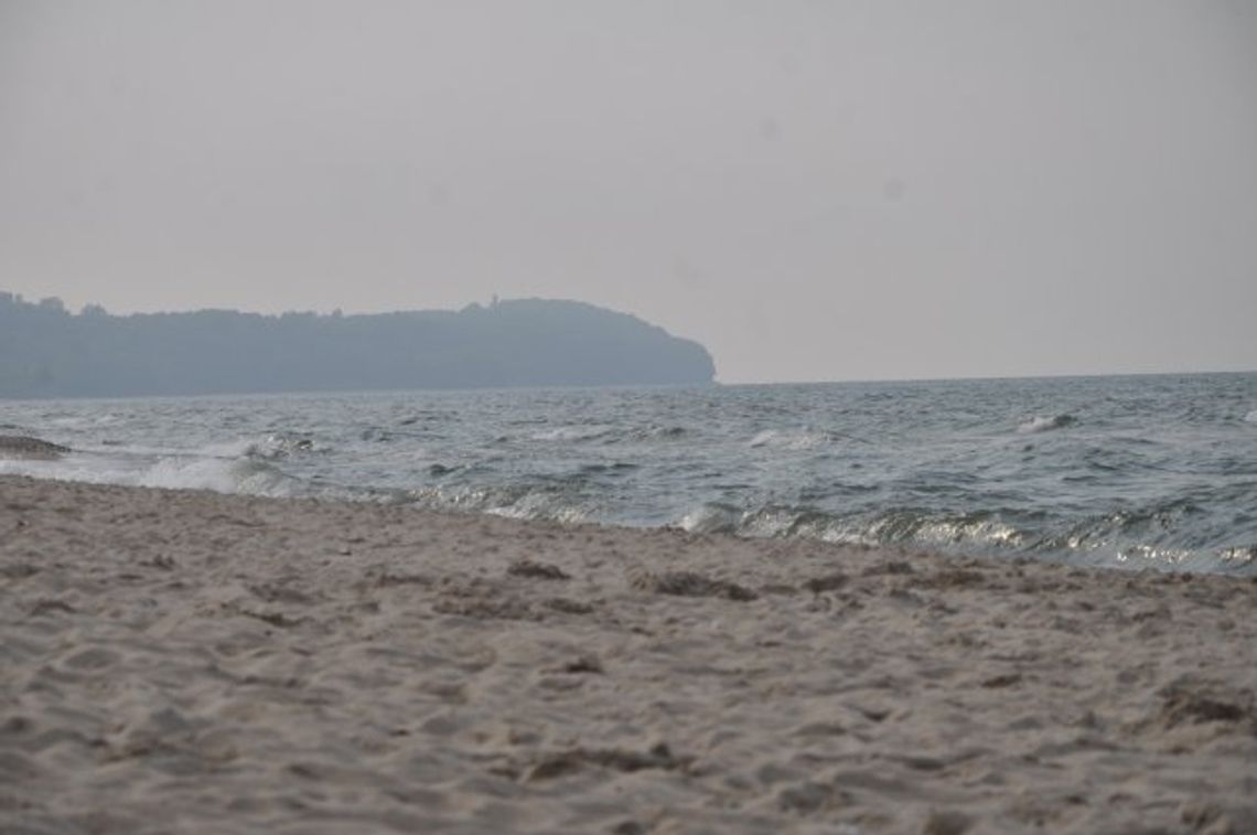 Bunkry Kępy Redłowskiej stają otworem dla zwiedzających Bunkry Kępy Redłowskiej stają otworem dla zwiedzających