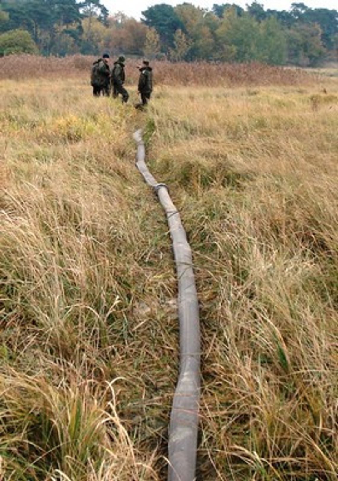 "Bursztynniacy" zatrzymani na gorącym uczynku "Bursztynniacy" zatrzymani na gorącym uczynku