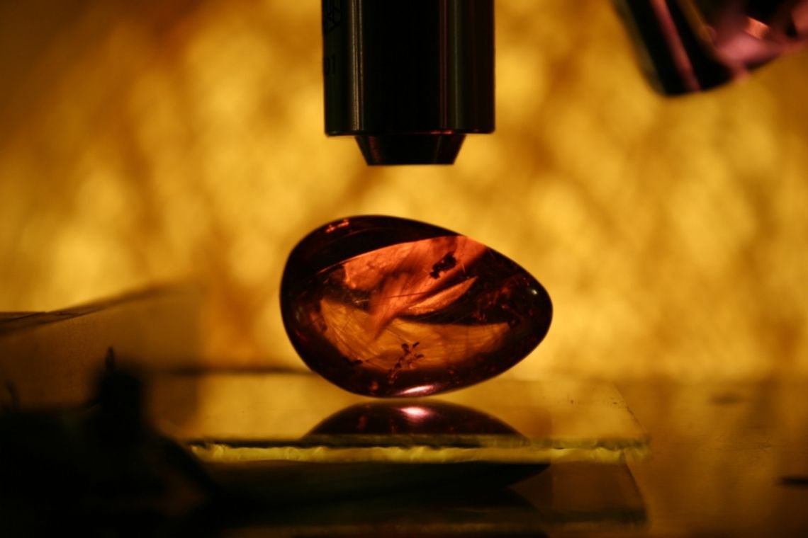 Bursztynowy pierścionek do... zjedzenia Bursztynowy pierścionek do... zjedzenia