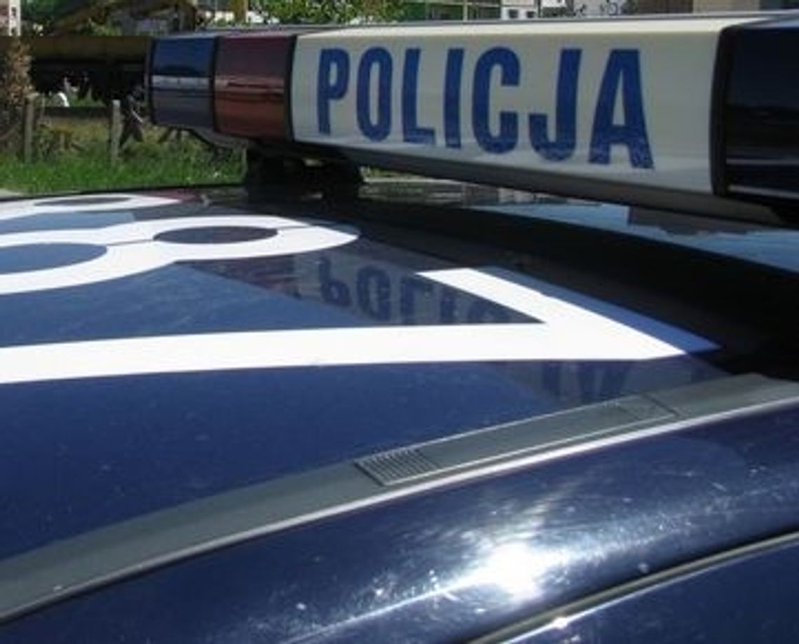 Buszowali w altankach na działkach