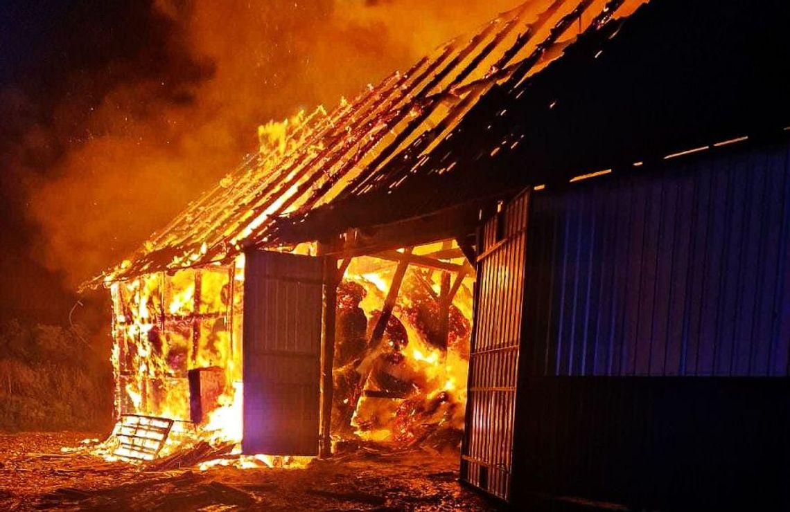 Całą noc gasili płonące budynki gospodarcze w Wielkich Walichnowach! Strażakom udało się ocalić oborę