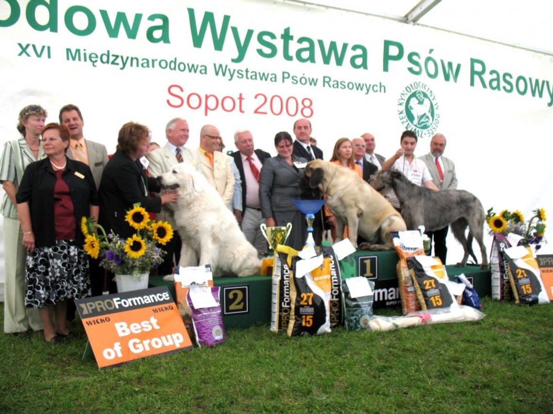 Champion z mieszanymi uczuciami