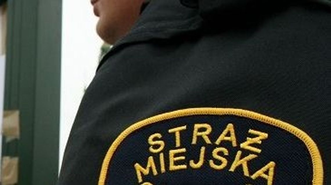 Chcą likwidacji Straży Miejskiej Chcą likwidacji Straży Miejskiej