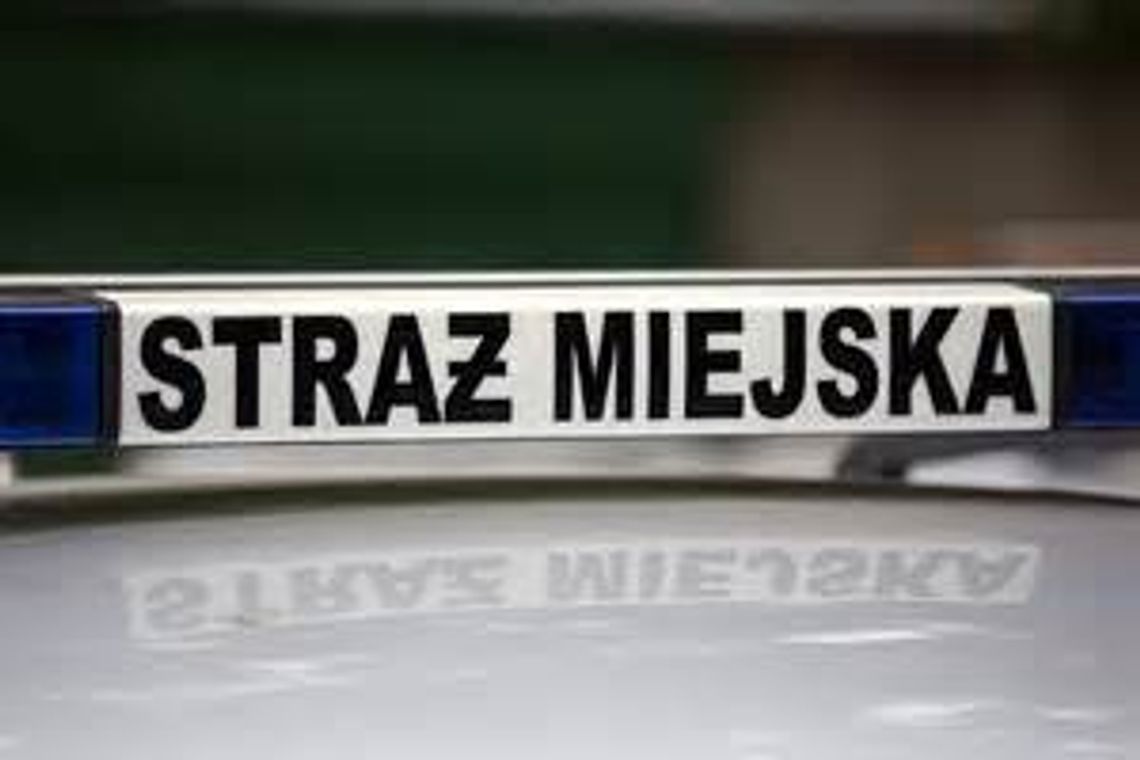 Chciał wskoczyć do Nogatu Chciał wskoczyć do Nogatu