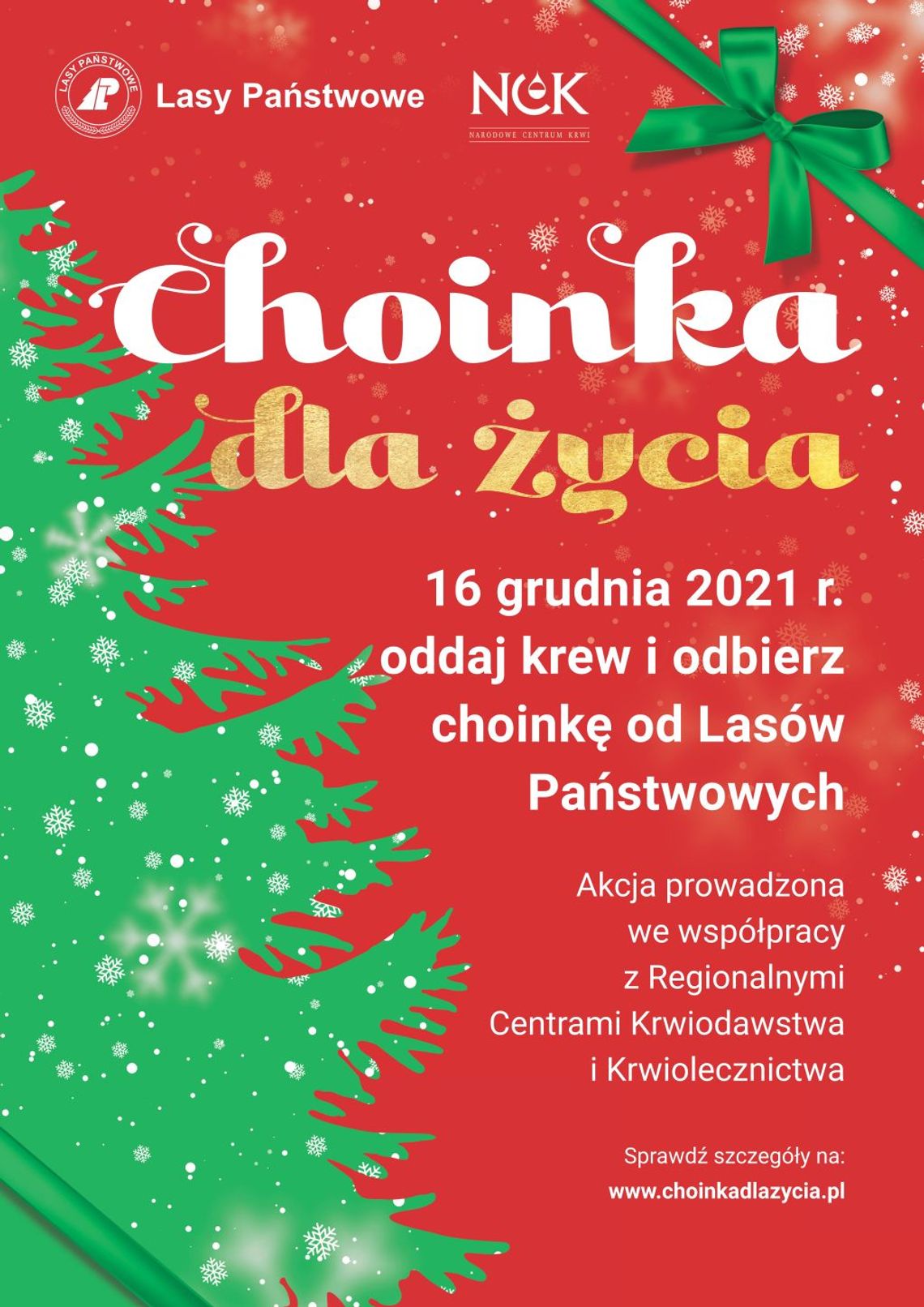 „Choinka dla życia” - akcja Lasów Państwowych