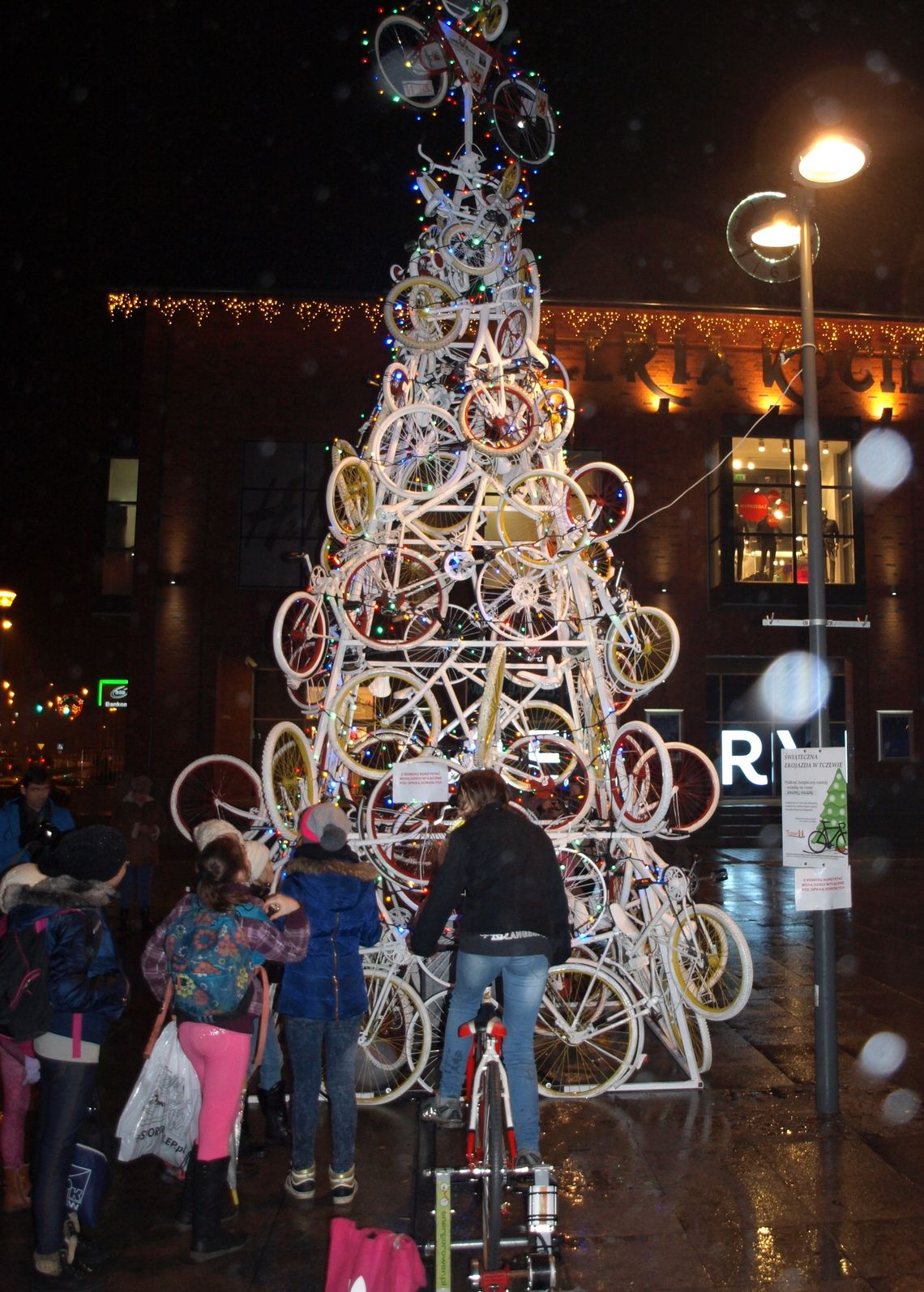 Choinka już zepsuta - zawinił piątek trzynastego? Choinka już zepsuta - zawinił piątek trzynastego?
