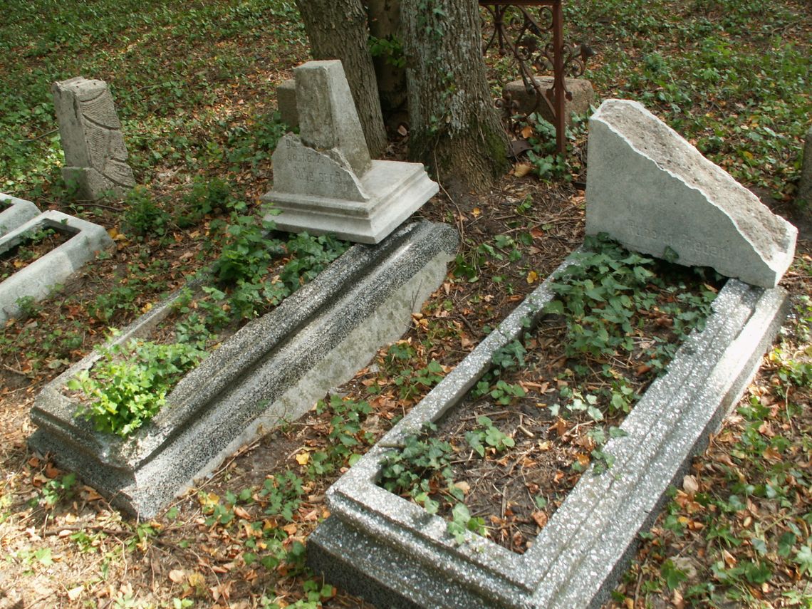 Chwasty i krzaki. Miejsce pamięci odkryte po latach. Chwasty i krzaki. Miejsce pamięci odkryte po latach.