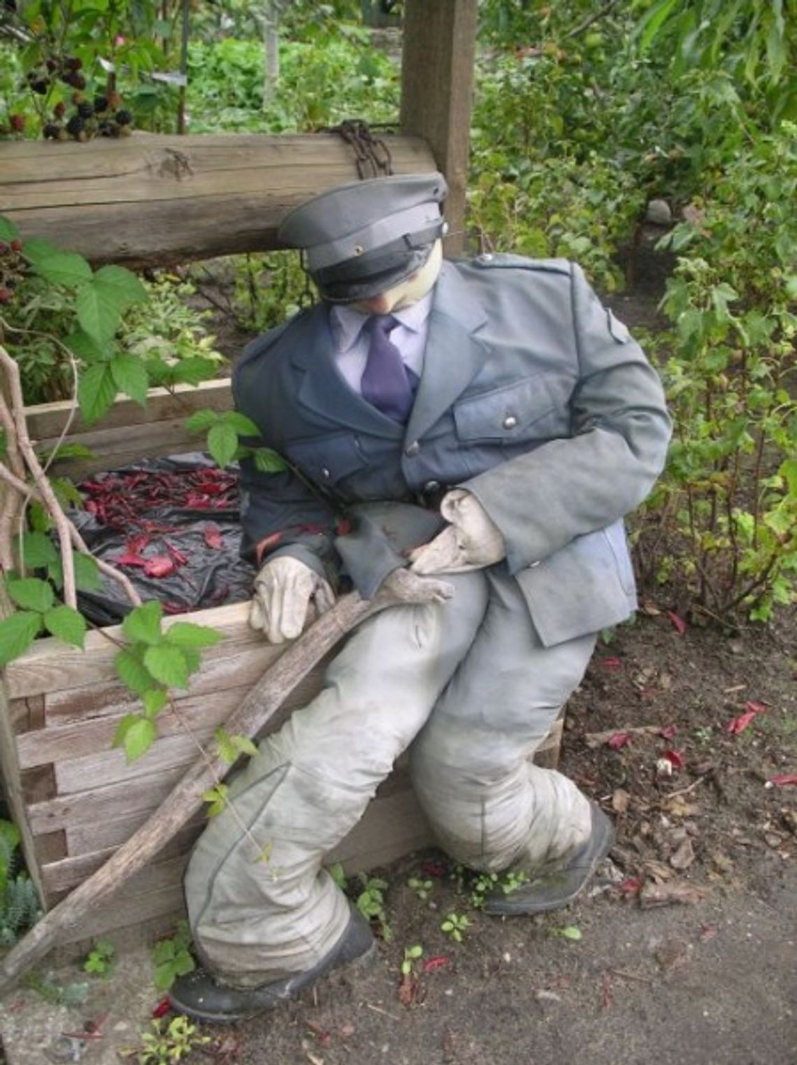 Chwasty przed sklepem Chwasty przed sklepem