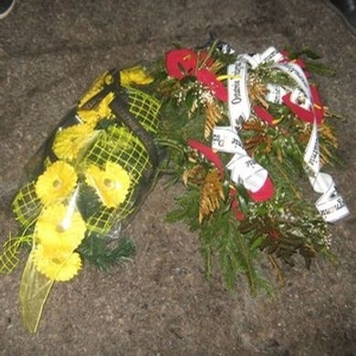 Cmentarne hieny na Aniołkach