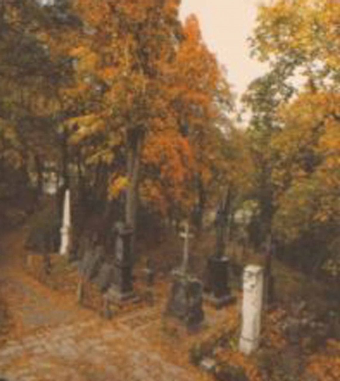 „Cmentarz na Rossie” - wileńska nekropolia w Fabryce Sztuk „Cmentarz na Rossie” - wileńska nekropolia w Fabryce Sztuk