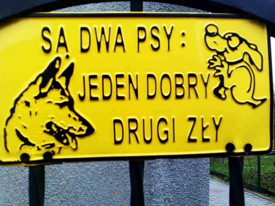 Co w mediach piszczy...