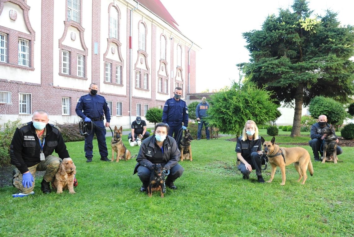 Ćwiczenia przewodników z psami służbowymi w sztumskim więzieniu