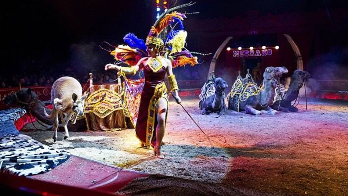 Cyrk Medrano już w Tczewie