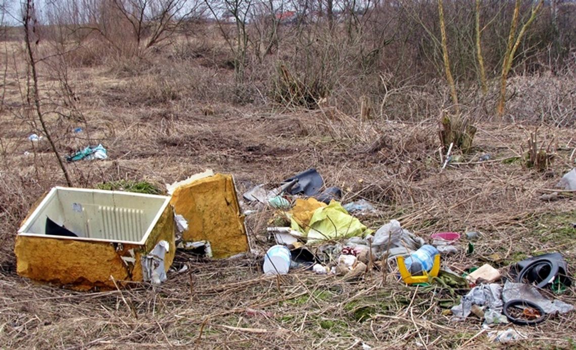 Czas oddać deklaracje – kara dla spóźnialskich Czas oddać deklaracje – kara dla spóźnialskich