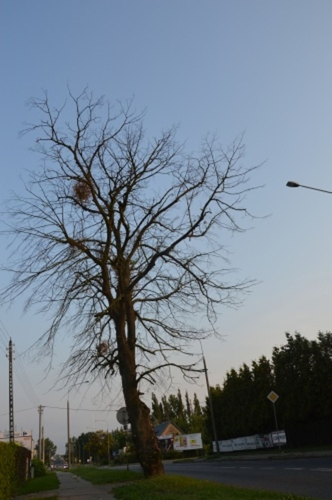Czekając na tragedię... Suchy problem mieszkańców Czekając na tragedię... Suchy problem mieszkańców