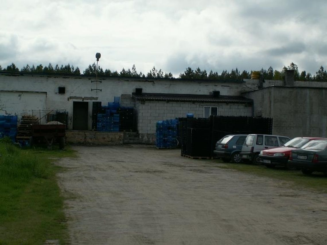 "Czysta" pieczarkarnia - w Zajączku praca już legalna "Czysta" pieczarkarnia - w Zajączku praca już legalna