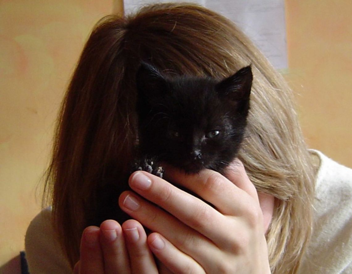 Depresyjna jesień, kryzys finansowy. Czy będzie fala samobójstw? Depresyjna jesień, kryzys finansowy. Czy będzie fala samobójstw?