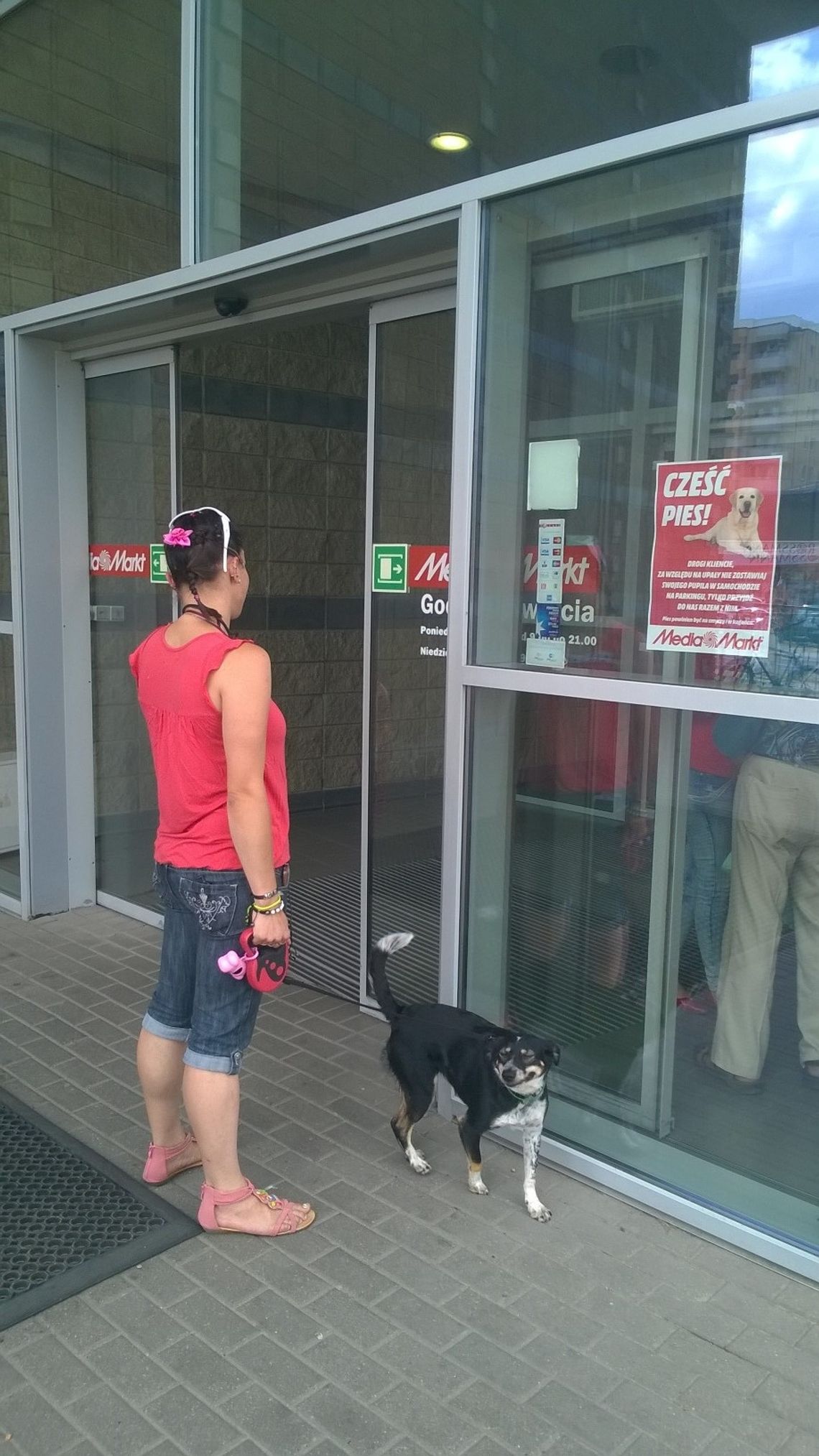 Do Media Markt wejdziesz z... psem. To pomysł na upalne dni Do Media Markt wejdziesz z... psem. To pomysł na upalne dni