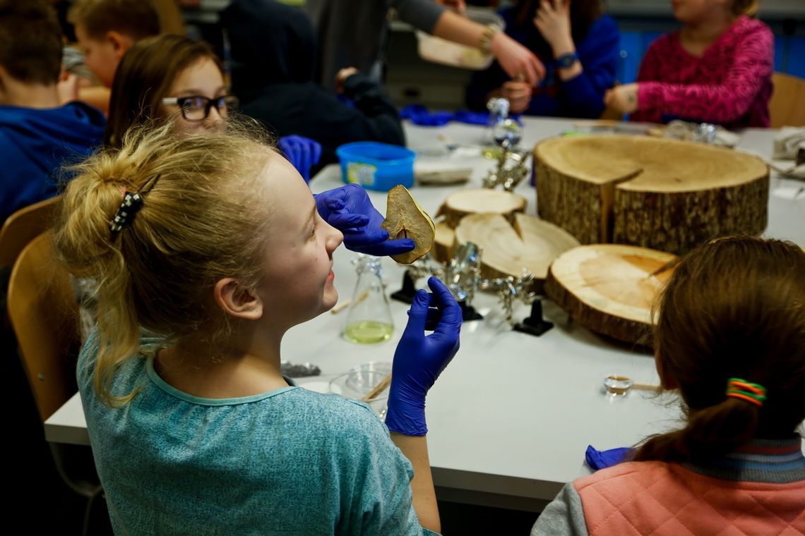 Do otwarcia centrum wraków zostało mniej niż 100 dni!