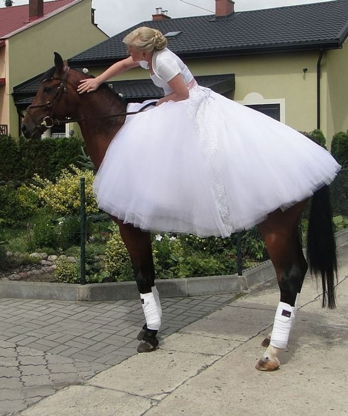 Do ślubu na koniach... ulicami grodu Sambora Do ślubu na koniach... ulicami grodu Sambora