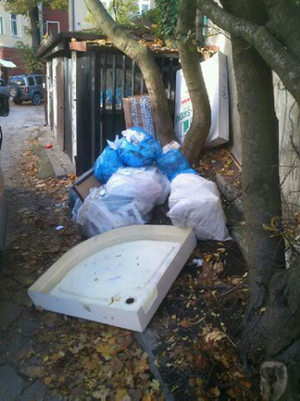 Dokumentacja z biura posłanki Hall na śmietniku