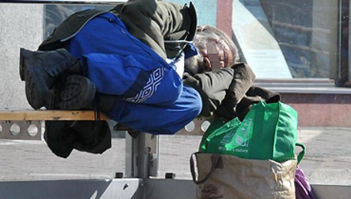 Domagają się schroniska: "Władza tylko mówi, ale nic nie robi"