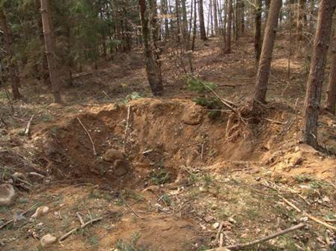 Domorosły pirotechnik - swoje bomby detonował w lesie Domorosły pirotechnik - swoje bomby detonował w lesie