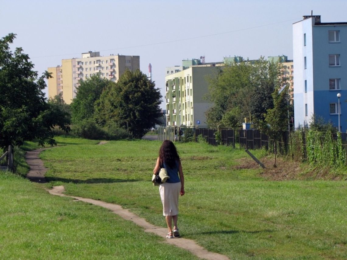 Dotacji na drogi nie będzie. "Schetynówki" nie dla Pomorza Dotacji na drogi nie będzie. "Schetynówki" nie dla Pomorza