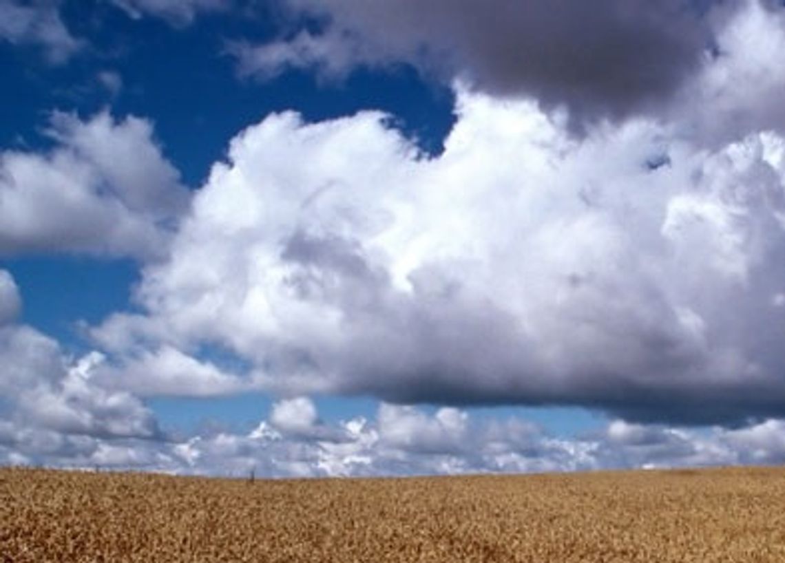 Dożynkowa impreza w Tychnowach Dożynkowa impreza w Tychnowach