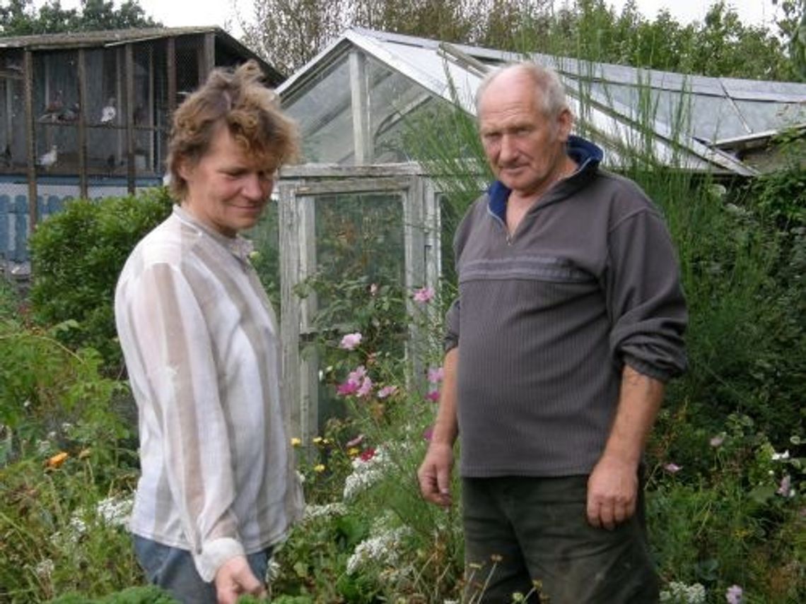 Drzewa uginają się od owoców Drzewa uginają się od owoców