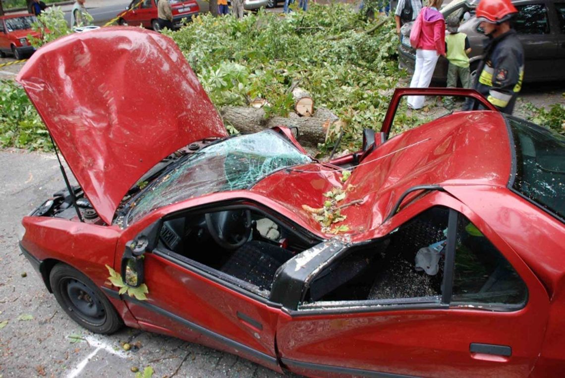 Drzewo spadło na samochód, jedna osoba ranna Drzewo spadło na samochód, jedna osoba ranna