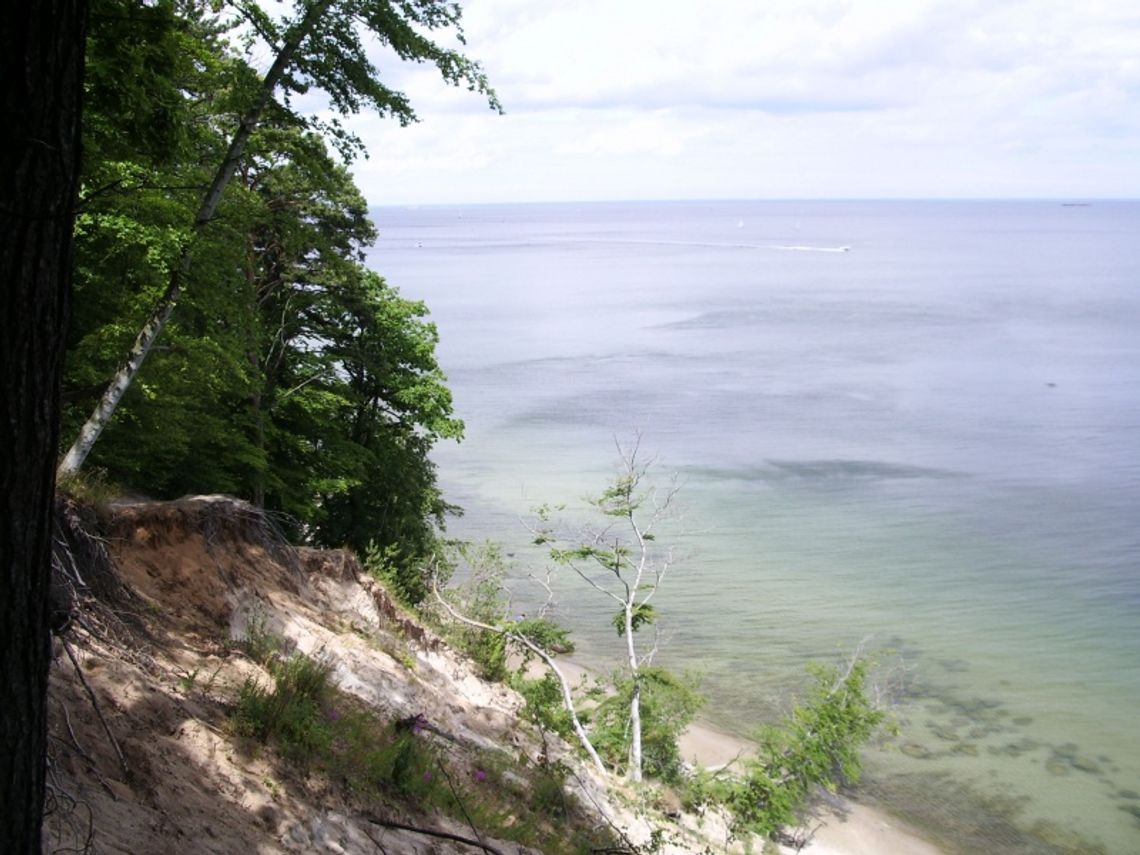 Dwa lata za zgwałcenie 17-letniej dziewczyny