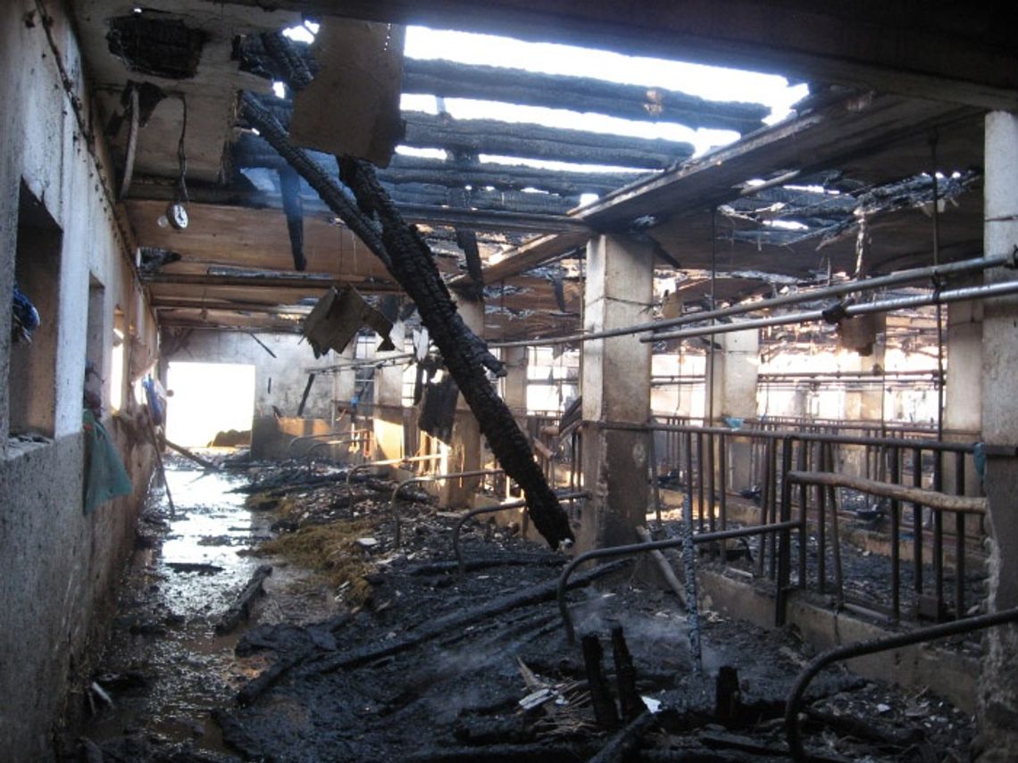 Dwa wielkie pożary w jednym gospodarstwie – podpalacz ujęty!