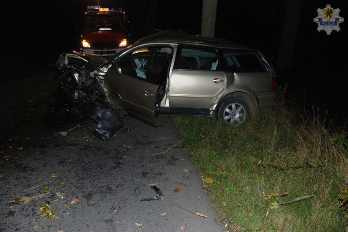 Dwie osoby ranne po zderzeniu z sarną Dwie osoby ranne po zderzeniu z sarną