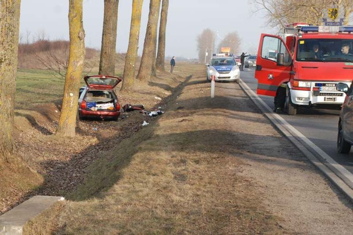Dwie osoby zginęły na DK 22 Dwie osoby zginęły na DK 22