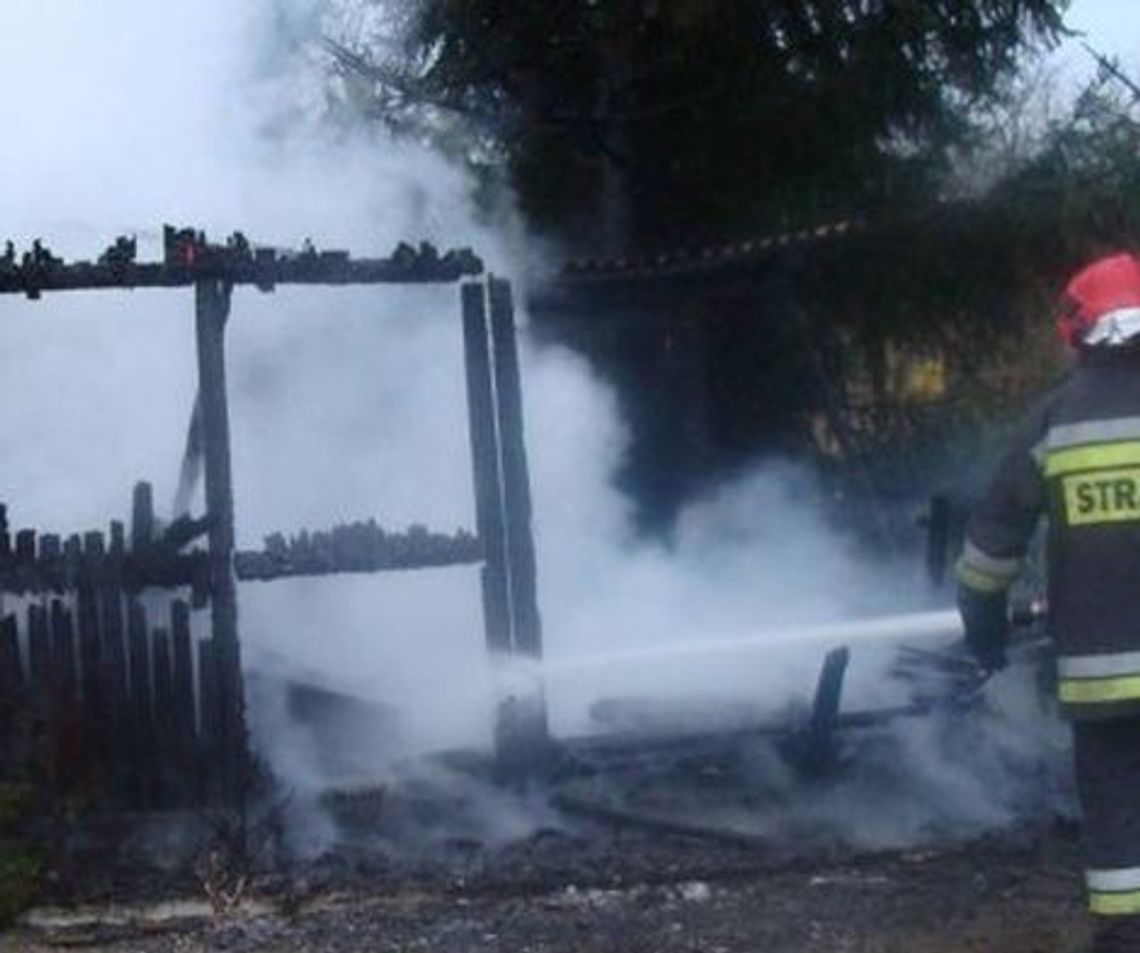Dwie osoby zginęły na działkach - znaleziono spalone ciała Dwie osoby zginęły na działkach - znaleziono spalone ciała