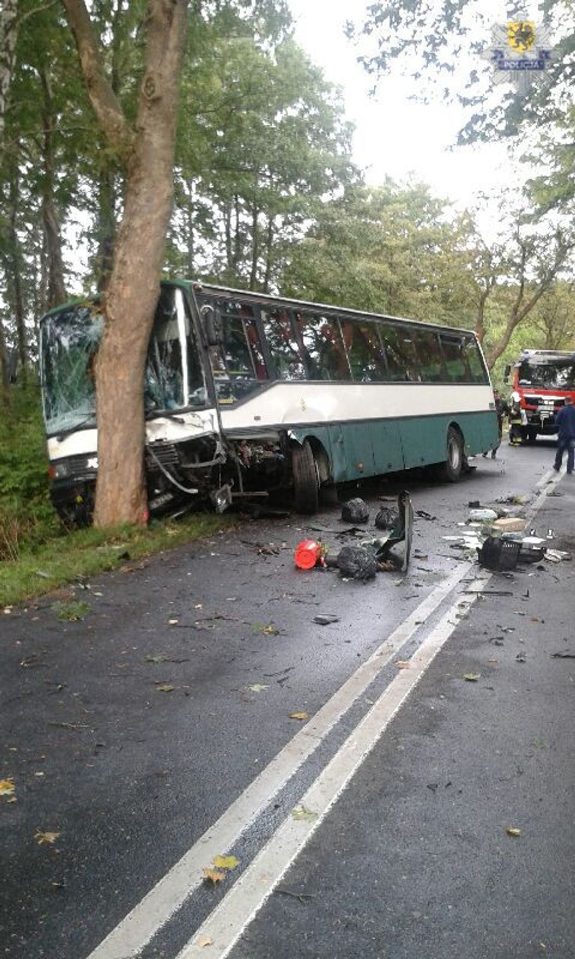 Dwie osoby zginęły w wypadku na drodze W214