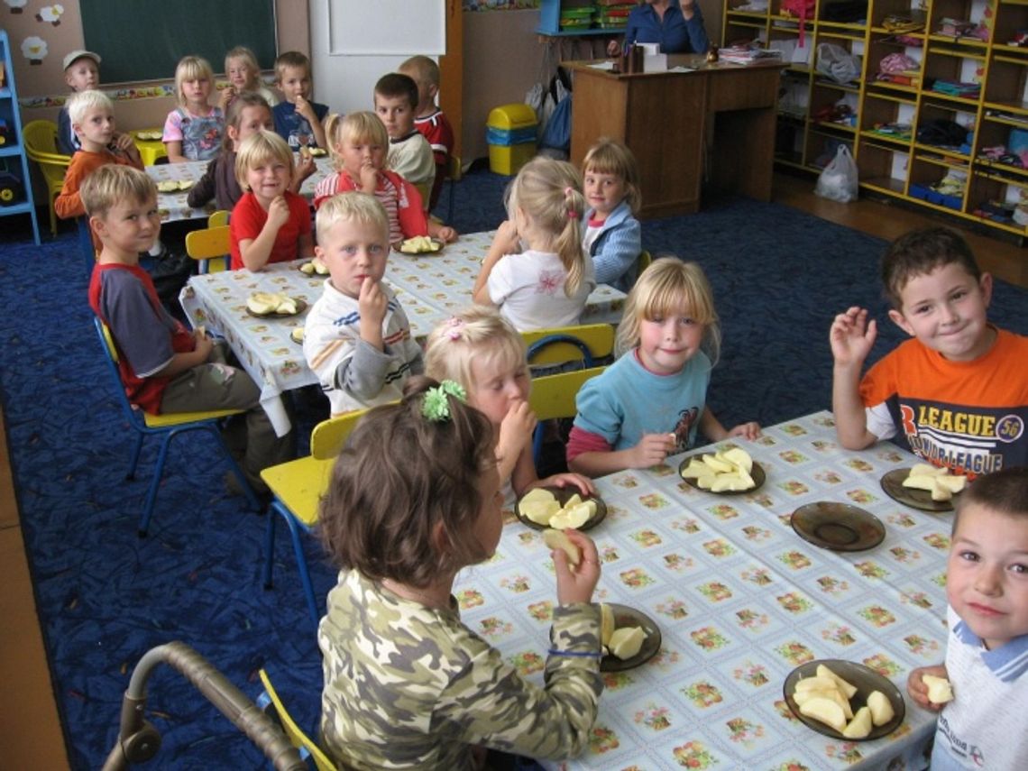 Dylemat sześciolatka - trwają zapisy do szkół i przedszkoli Dylemat sześciolatka - trwają zapisy do szkół i przedszkoli