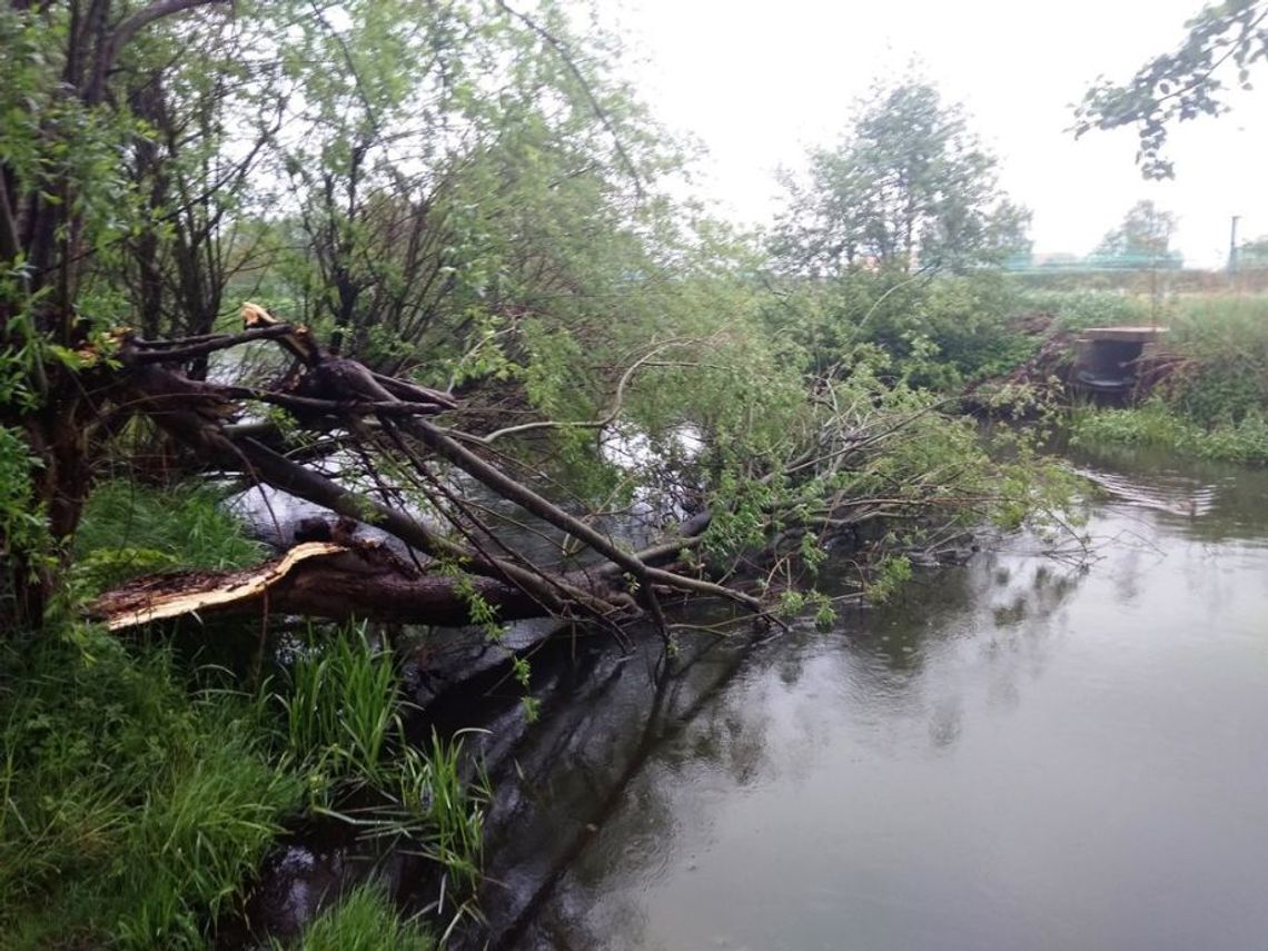 Działalność Wód Polskich