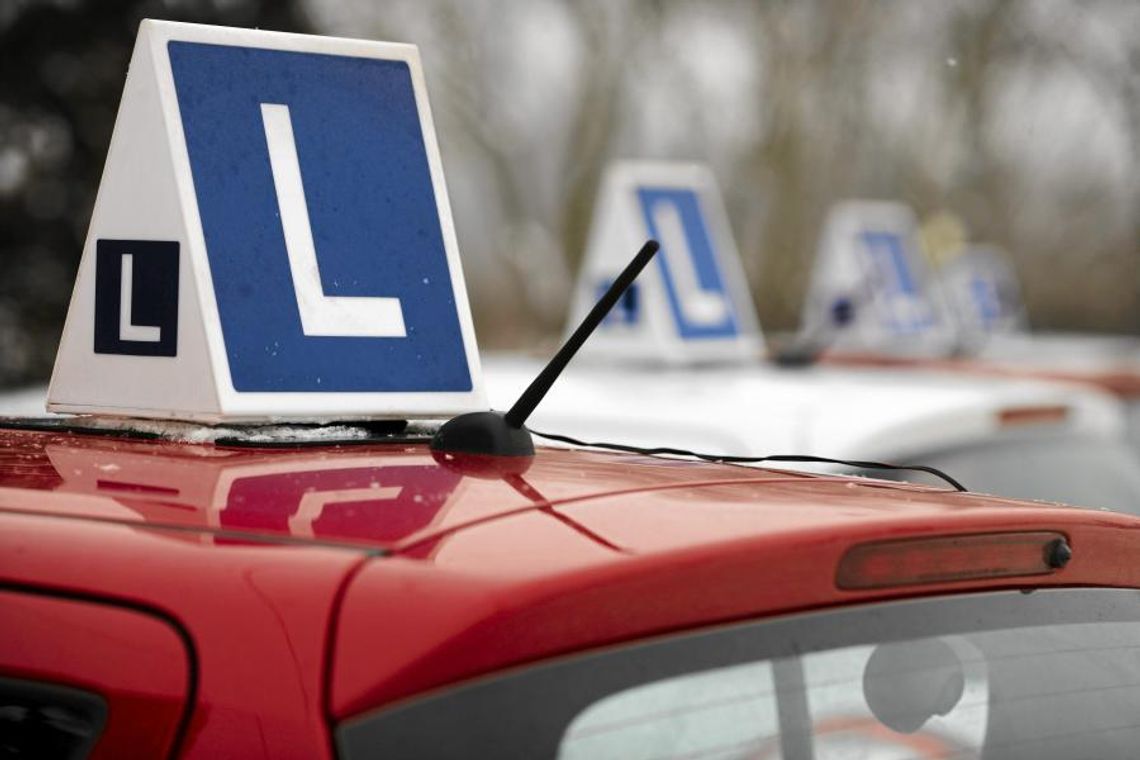 Działania ELKA Działania ELKA