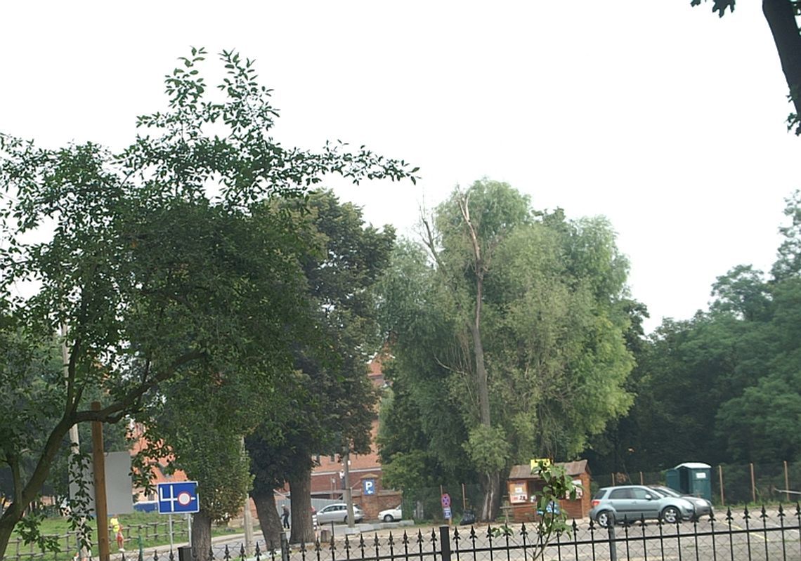 Działka przy ul. Sierakowskich pod młotek Działka przy ul. Sierakowskich pod młotek