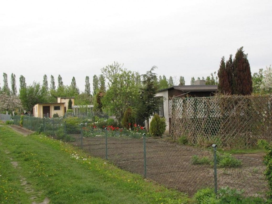 Działki na celowniku przestępców Działki na celowniku przestępców